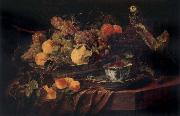 Jan  Fyt Fruit and a Parrot Germany oil painting reproduction